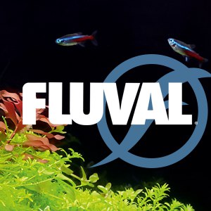 Fluval (Италия)